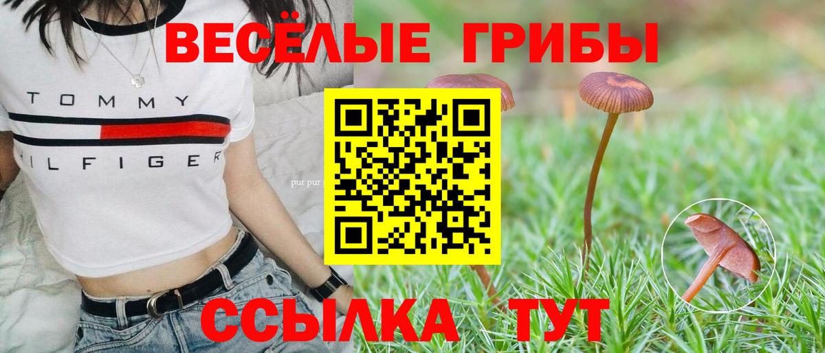 Псилоцибиновые грибы мицелий  Вход с VPN  Великие Луки  Галлюциногенные грибы мухоморы 