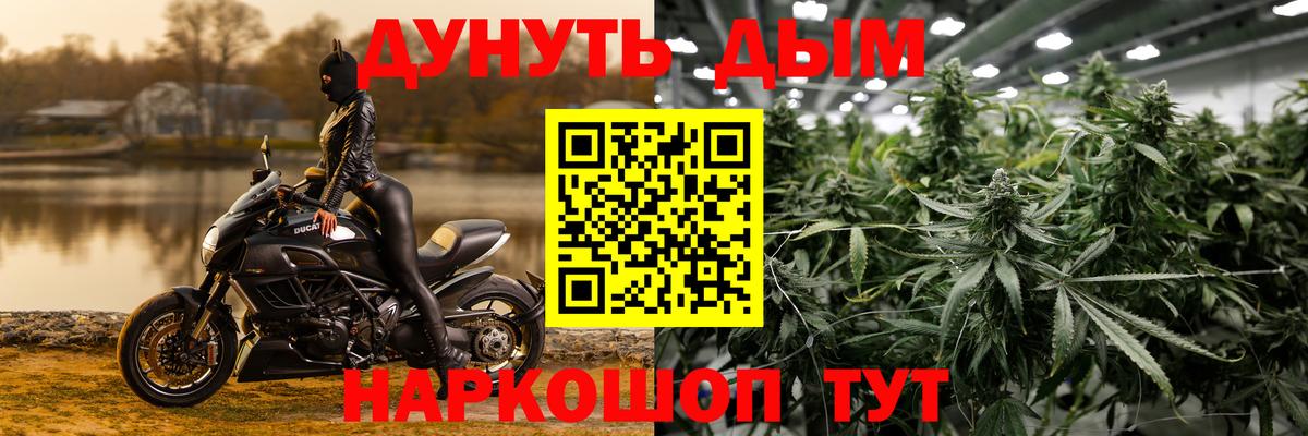 Канабис OG Kush Великие Луки